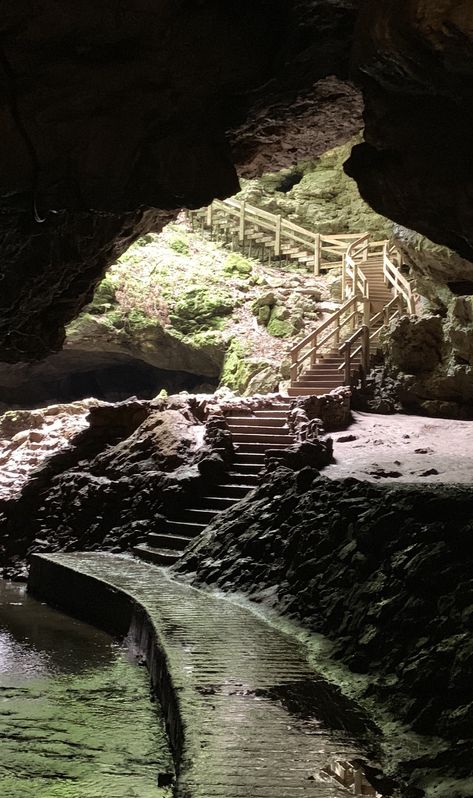 Maquoketa Caves State Park, Iowa Hiking, Hiking List, Iowa Road Trip, Iowa Travel, Birthday Vibes, Bucket List Vacations, Vacation Locations, 27th Birthday