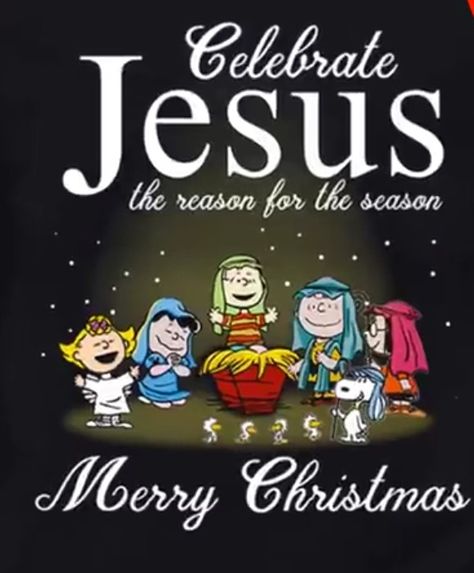 Christmas Greetings Pictures, Merry Christmas Charlie Brown, Peanuts Gang Christmas, Christmas Wishes Quotes, Good Morning Christmas, Good Morning Snoopy, Christmas Thoughts, Christmas Card Sayings, Merry Christmas Pictures