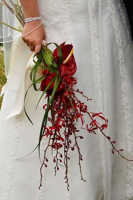 Red Orchid Bouquet, Anthurium Bouquet, Black Orchids, Wild Bouquet, Red Barn Wedding, Fire Lily, Burgundy Bouquet, Smelling Flowers, Red Orchids