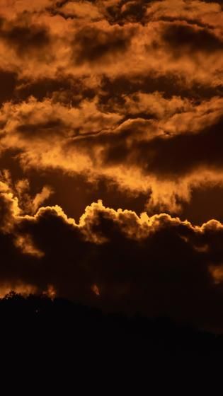 Timelapse of dramatic sunrise with orange sky in a sunny day. Tree Saw, Orange Sky, Cityscape Photos, Free Stock Video, Logo Banners, Nature Backgrounds, Heart With Arrow, Background Banner, Travel Lifestyle