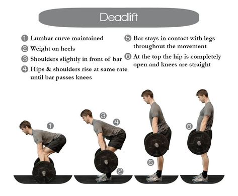 Muscular Strength Exercises, How To Get Muscles, Deadlift Form, Barbell Deadlift, Workout Program Gym, Build Muscle Fast, All Body Workout, Gym Workout Chart, Gym Workouts For Men