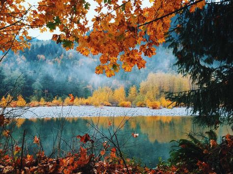 Teal Aesthetic, Fall Landscape, Orange And Turquoise, Seasons Of The Year, Best Seasons, Hot Tea, Cold Air, Fall Foliage, Fall Leaves