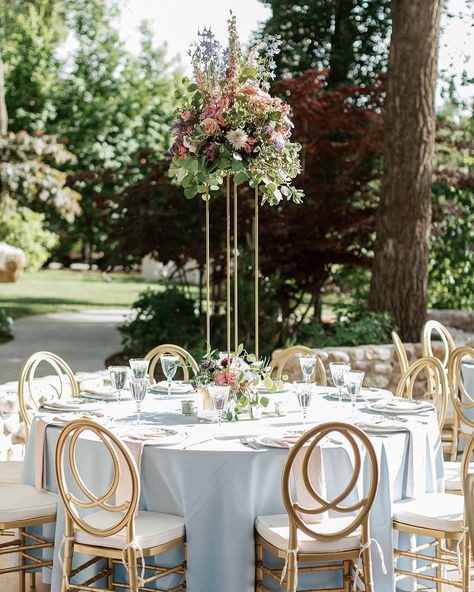 Sitting pretty. 🕊️ Browse our selection of chair rentals at our link in bio.⁠ ⁠ Pictured:�⁠ - Clear Ghost Chair⁠ - ⁠Phoenix Resin Chair in Gold⁠ - Round Tables⁠ - Charlotte Water Goblet⁠ - Timeless Old Fashion Rocks Glass⁠ - Standard Champagne Saucer⁠ - Arezzo Gold Flatware⁠ - Classic Table Linen in Sky Blue⁠ - Velvet Table Linen Napkin in Pink Chablis⁠ - Tara White/Floral China Plate⁠ ⁠ Vendors:⁠ Bride: @rhiannon_wadsworth⁠ Rentals: @diamondeventandtent⁠ @madefromholm⁠ Florals: @everyblooming... Resin Chair, Gold Chairs, Velvet Table, Champagne Saucers, Chair Rentals, Floral China, Gold Chair, Gold Flatware, Round Tables