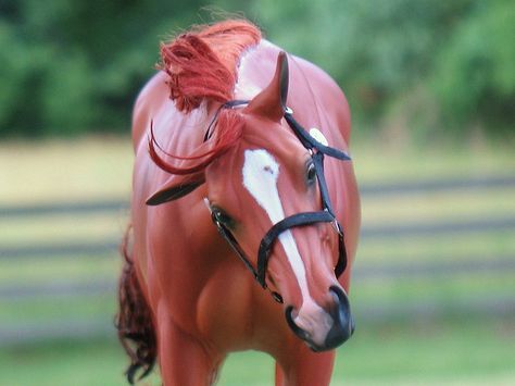 Chestnut Thoroughbred, Horse Auction, Water Color Pencils, Red Chestnut, Horse Show, Color Pencils, Thoroughbred, Chestnut, Red