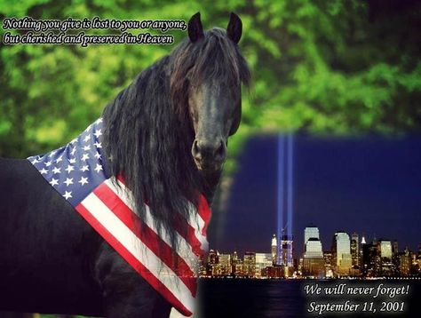 September 11, 2001 Horse Tail, Memorial Day Sale, I Love America, Friesian Horse, All The Pretty Horses, In Sign, Horse Barn, Black Horse, Pretty Horses