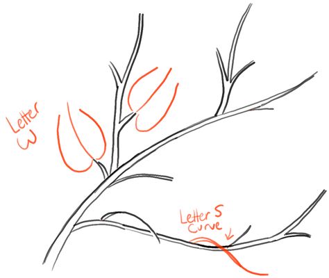 Branch With Leaves Drawing, Tree Branch Drawing Simple, Draw Tree, Trees Drawing Tutorial, Tree Branch Art, Drawing Trees, Branch Drawing, Leaves Drawing, Branch Leaves