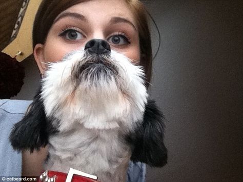 Dogs Things, Cat Beard, Selfie Fail, Foto Top, Perspective Photography, Perfectly Timed Photos, Awesome Beards, Epic Photos, Dog Funny