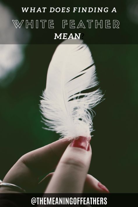 What is the meaning of finding a White Feather? - Meaning Of Feathers White Feather Meaning, Feather Color Meaning, Meaning Of Feathers, White Feather Tattoos, All Archangels, Finding Feathers, Feather Meaning, Feather Diy, Angel Feathers