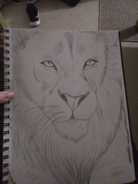 Sketch Book Animals, Lion Sketch Simple, Alone Draws Ideas, Lion Drawing Sketches, How To Draw A Lion, Lion Sketches, Lion Drawing Easy, Lion Pencil Drawing, Sketch Lion