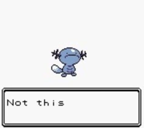 Wooper Erich Von Stroheim, Pokemon Gif, Pokemon Memes, Pokemon Funny, Silly Images, Cute Memes, Pokemon Pictures, Pocket Monsters, Cute Pokemon