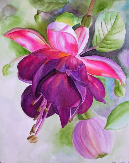 'Pink Fuschia' watercolor painting by Doris Joa. Galleria D'arte, Interior Painting, 수채화 그림, Rose Painting, Watercolor Inspiration, Arte Floral, Figure Painting, Botanical Art, 그림 그리기