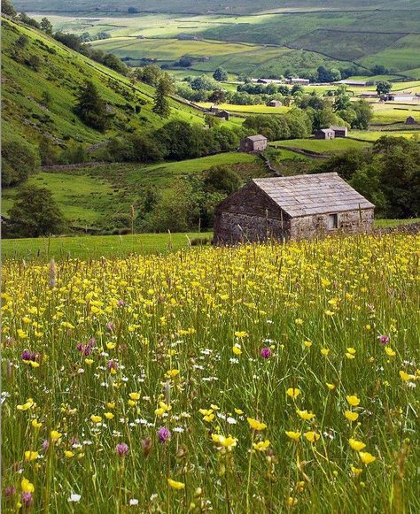 Cabin In Meadow, House In A Meadow, Meadow Aesthetic, Spring Landscape Photography, English Countryside Home, Meadow Field, Meadow House, Meadow Photography, Sunny Meadow