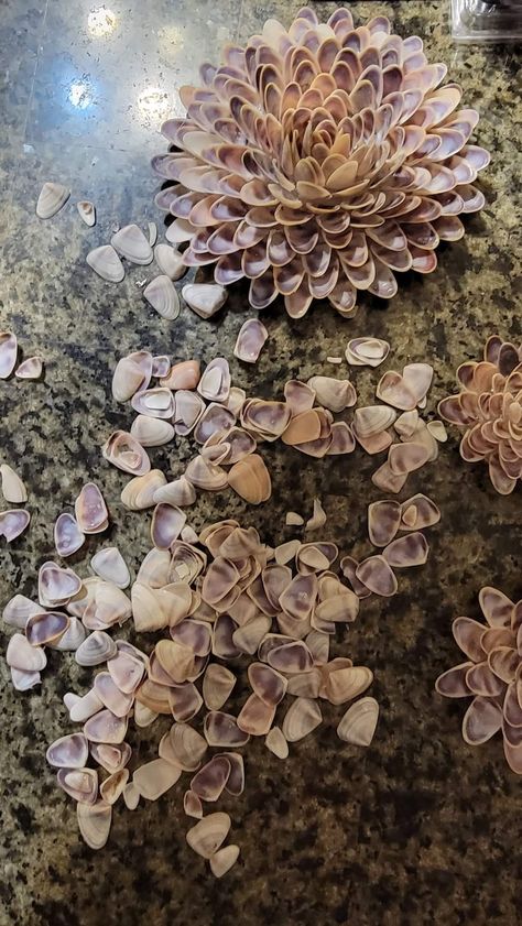 Seashells Crafts, Seashell Jewelry Diy, Seashell Flowers, Seashell Art Diy, Shell Diy, Seashell Christmas Ornaments, Shell Sculpture, Seashell Projects, Seashell Wall Art