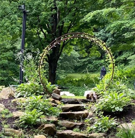 Vintage Garden | HELP! I brought home a free trampoline I found off Craigslist today | Facebook Round Garden Bed Ideas, Moon Gate Garden, Round Garden Bed, Gate Garden, Round Garden, Moon Gate, Garden Junk, Garden Help, Garden Features