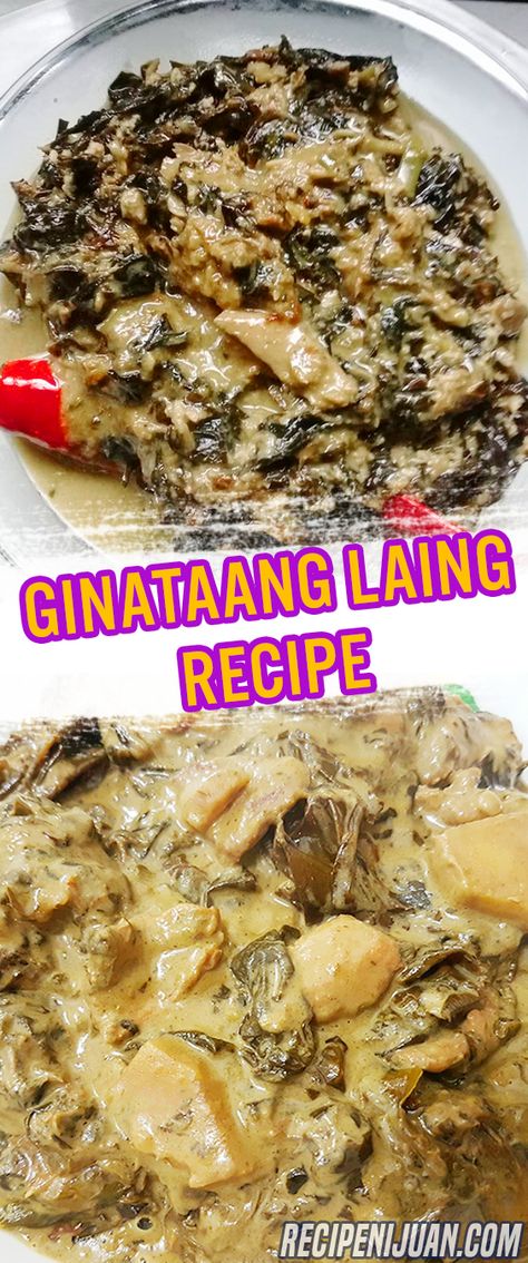 Laing is also known as taro leaves cooked in coconut milk and chilis. Laing is a spicy vegetable dish that is widely cooked in the Bicol Region in the Philippines. The “Gabi” or “Taro” grows well along Riverbanks and can be harvested by almost anyone who wants to prepare this Laing recipe. #Laing #PagkaingPinoy #FilipinoFoods #FilipinoRecipes Laing Recipe Filipino, Che Recipe, Laing Recipe, Bicol Region, Lutong Pinoy, Taro Leaves, Cooking With Coconut Milk, Filipino Recipe, Filipino Dish