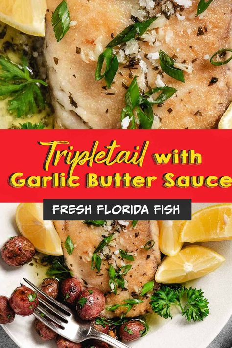 Delicately seared tripletail, complemented by a sweet garlic butter sauce. Serve with rice or roasted veggies for a complete meal. Baked Triple Tail Fish Recipe, Recipes For Triple Tail Fish, Tripletail Fish Recipe, Florida Fish Recipes, Triple Tail Fish Recipe, Fish Fillet Recipes, Easy Fish Dinner Recipes, Garlic Rosemary Bread, Easy Fish Dinner