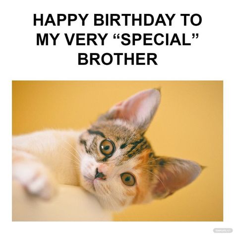 Sibling Jokes, Funny Happy Birthday Brother, Happy Birthday Mom Meme, Happy Birthday Old Friend, Sarcastic Happy Birthday, Sister Humor, Happy Birthday Brother From Sister, Happy Birthday Brother Funny, Happy Birthday Sister Funny