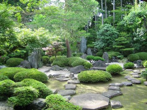 jardin à la japonaise harmonieux aménagé avec des allées en pas japonais, des buis et des arbres Long Garden Ideas, Zen Landscape, Long Garden, Tattoo Garden, Japanese Rock Garden, Garden Nails, Garden Tattoo, Japan Garden, Aesthetic Garden