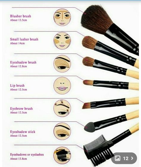 Brush guide Basic Eye Makeup, Futuristic Makeup, Asian Makeup Tutorials, Korean Makeup Tips, Makeup Fails, Makeup Tips For Older Women, Face Charts, Makeup Brushes Guide, Make Up Tutorials