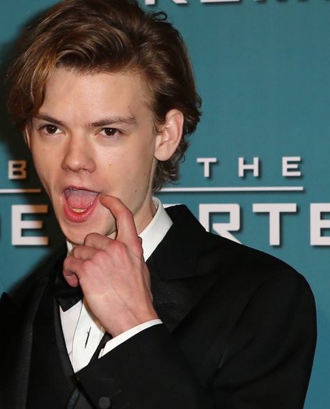 Thomas Brodie Sangster Imagines, Maze Runner Thomas, Maze Runner Trilogy, Maze Runner Cast, Newt Maze Runner, Maze Runner Movie, Thomas Sangster, The Queen's Gambit, The Maze Runner