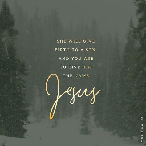 She will give birth to a son, and you are to give him the name Jesus, because he will save his people from their sins. Matthew 1 21, Miracles Of Jesus, Matthew 1, Youversion Bible, Bible Plan, Give Birth, King James Version, Pine Trees, Verse Of The Day