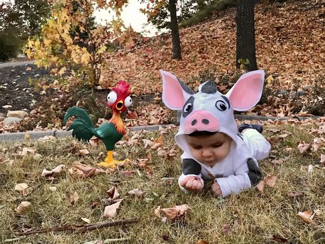 Pua Pig Costume, Moana Pig Costume, Pua Costume Diy, Moana And Pua Costume, Moana Pua Costume, The Pig From Moana, Toddler Pig Costume, Pua Costume, Pig From Moana