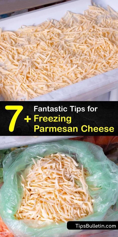 Freezing Cheese, Parmesan Cheese Sauce, Vegetable Benefits, Parmesan Rind, Natural Health Tips, Parmigiano Reggiano, Drying Pasta, Grated Cheese, Soft Cheese