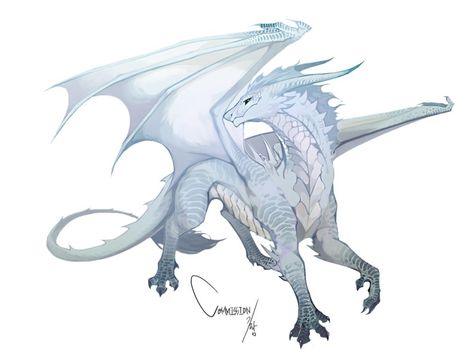 Dragon Poses, Dragon Artwork Fantasy, Dragon Sketch, Fantasy Beasts, Creature Drawings, Dragon Pictures, White Dragon, Fantasy Creatures Art, Dragon Artwork