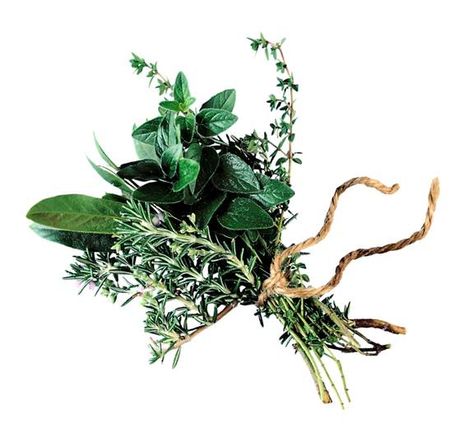 Pure Pursuit: Shampoo Recipes Herb Bouquet, Edible Wild Plants, Bouquet Garni, Natural Magic, Plant Book, Herbal Magic, Healing Arts, Wild Plants, Natural Herbs