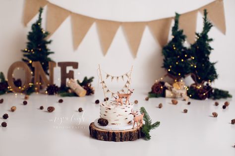 Woodland Smash Cake, Woodland 1st Birthday, Baby Birthday Photoshoot, Cake Boy, Boys 1st Birthday Party Ideas, Baby Birthday Decorations, Baby Boy 1st Birthday Party, 1st Birthday Photoshoot, Smash Cake Boy