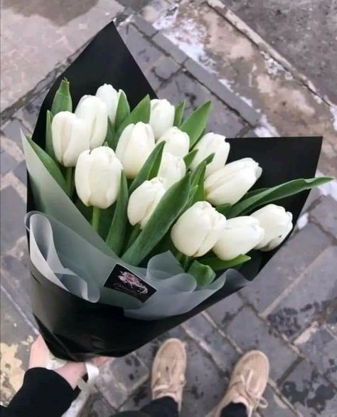 White Tulip Bouquet, Single Flower Bouquet, Fancy Flowers, Boquette Flowers, Flower Gift Ideas, Flower Guide, Tulip Bouquet, Flowers Petals, Flowers Bouquet Gift