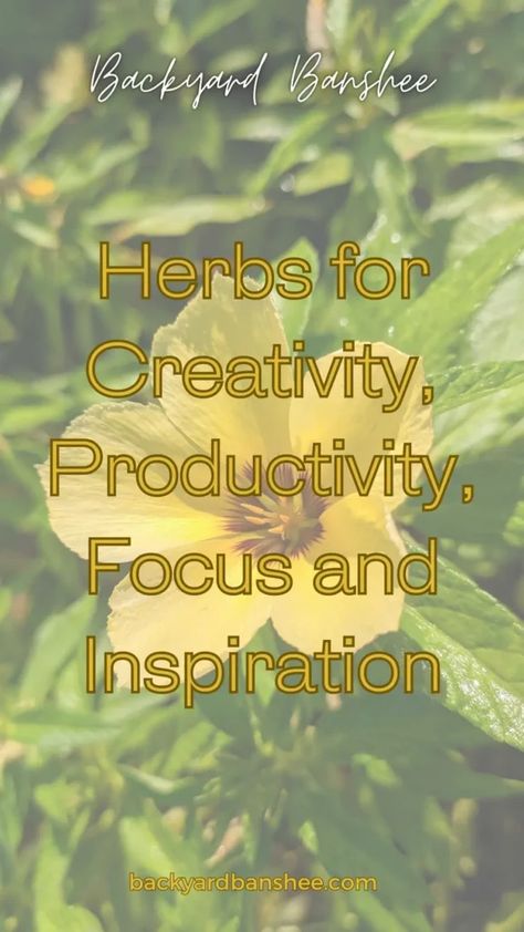 Herbs for productivity purposes is no different than a morning tea or coffee; it’s something that helps to boost your creativity, and get into the right mindset. There are a few herbs that have been used for centuries in magickal workings to promote inspiration too; here is your Backyard Banshee guide to some of them! Read over 20 at backyardbanshee.com Herbs For Creativity, Herbs For Energy, Medicinal Herbs Garden, Medicinal Tea, Witch Herbs, Mushroom Tea, Medical Herbs, Herb Farm, Herbal Teas Recipes