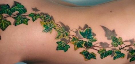 Ivy Tattoo Behind Ear, Poison Ivy Tattoo Ideas, Poison Ivy Tattoo, Poison Ivy (character), Lisa Tattoo, Finger Tattoos Words, Ivy Tattoo, Vine Tattoo, Leaf Tattoo