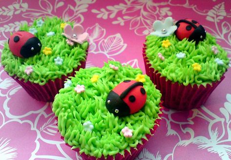 Ladybird Cupcakes, Girls 2nd Birthday Cake, Bug Birthday Cakes, Ladybird Cake, Ladybug Cupcakes, Spring Cupcakes, Snowman Cupcakes, Cupcakes Ideas, Pull Apart Cupcakes