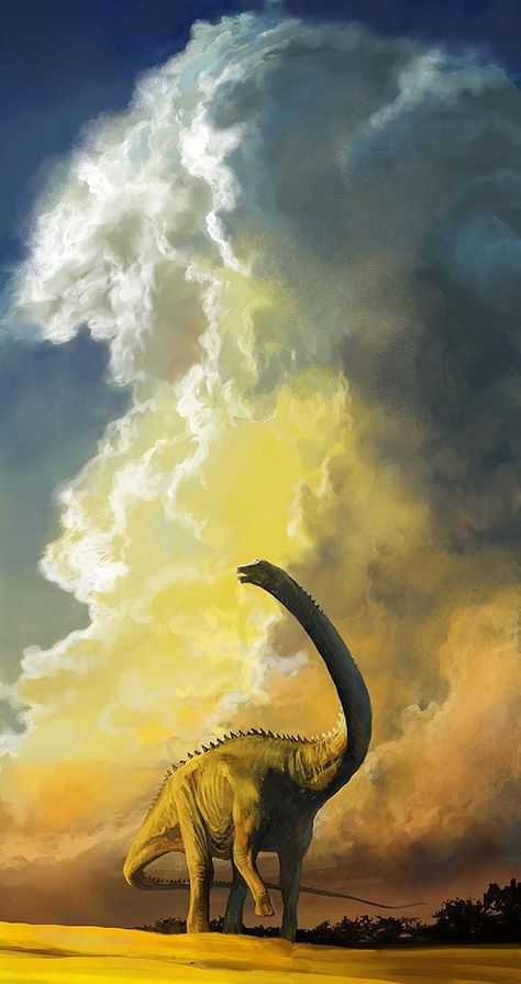 Diplodocus by Taku Makino Younger Dryas, Animal Taxidermy, Prehistoric Wildlife, Prehistoric Dinosaurs, Dinosaur Wallpaper, Dinosaur Images, Dinosaur Pictures, Dinosaur Illustration, Prehistoric World