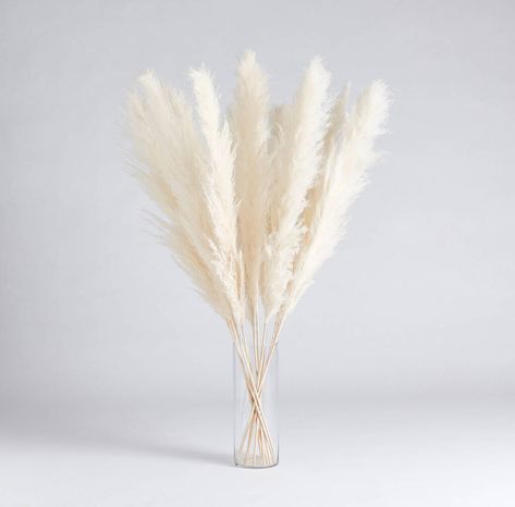 Pamaps Grass Bouquet Pampas Grass Stems Dried Flower Bouquet Our Big White Pampas Grass.Less is more... Until it comes to pampas grass!Create lasting impact with these gentle giants.Sitting proudly in any setting, their off white colouring allows for a complimenting designers touch to your home.Full, fluffy and effortlessly stylish, these premium pampas grass stems are guaranteed to impress.The perfect styling accessory to bring essence to a dark corner, dining table centrepiece, a kitchen islan Dried Pampas Grass Decor, White Pampas, Flower Arrangements Wedding, Grass Bouquet, Grass Decor, Pampas Grass Decor, Table Centrepiece, Pampas Gras, Plant Vase