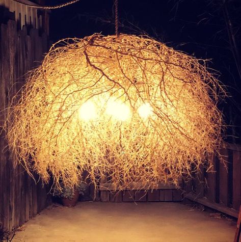 Tumbleweed Chandelier, Organic Lighting, Rustic Man Cave, Desert Boho, Interior Design Student, Ceiling Hooks, Statement Lighting, Ceiling Canopy, Custom Lighting