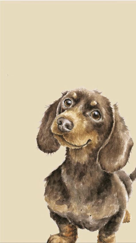 Dachshund Phone Wallpaper by Wrendale Designs Dachshund Wallpaper Iphone, Daschund Wallpaper, Dachshund Wallpaper, Arte Dachshund, Dachshund Cartoon, Dog Design Art, Animal Paintings Acrylic, Wrendale Designs, Dachshund Art