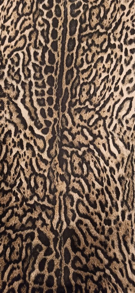 Leopard Upholstery Fabric, Animal Print Upholstery, Making Curtains, Animal Print Curtains, Beige Shades, Blue Velvet Fabric, Leopard Print Fabric, Printed Velvet, Leopard Fabric