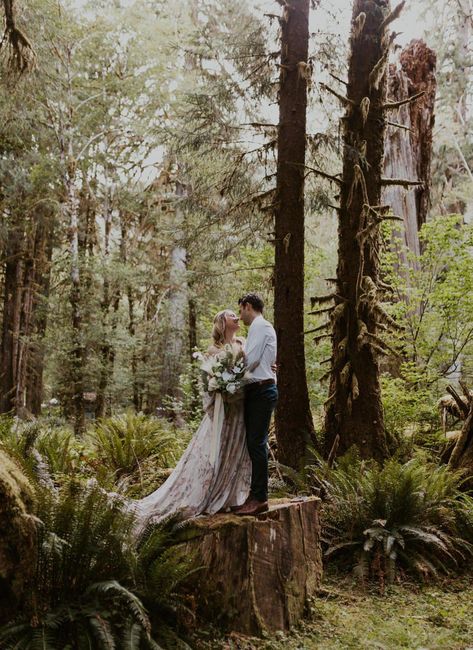 National Park Wedding Theme, Outdoor Wedding Venues California, Wedding Locations California, Hoh Rainforest, California Beach Wedding, Forest Wedding Venue, Northern California Wedding Venues, Cottagecore Wedding, Forest Theme Wedding