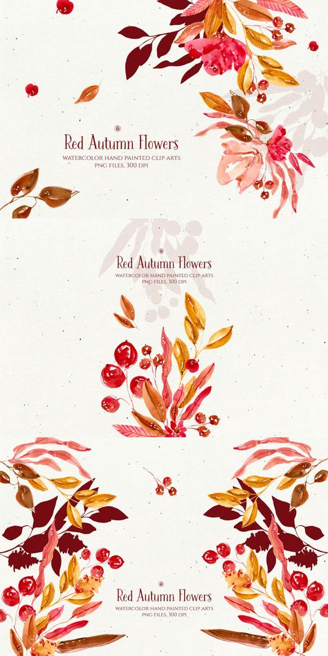 Autumn Flowers Illustration, Red Autumn, Hello September, Flowers Illustration, Autumn Flowers, Floral Illustration, Fall Inspo, Flowers Art, Flower Illustration