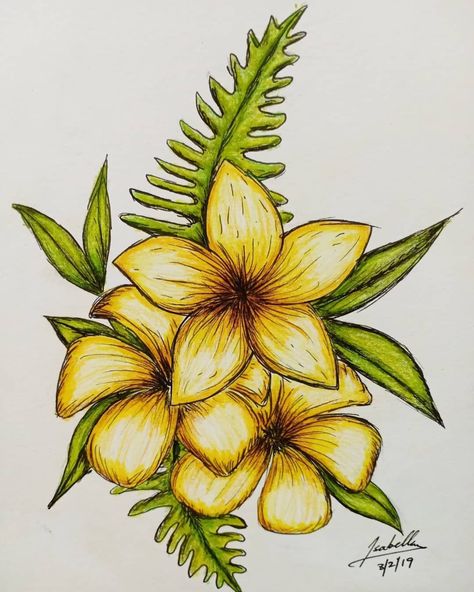 Coloured Flowers Drawing, Pencil Sketch Flowers Simple, Coloured Drawings Pencil, Drawing Sketches With Colour, Sketch Pens Drawings, Things To Draw Coloured Pencil, Flower Painting Color Pencil, Colour Pencil Flower Art, Dwarings Ideas