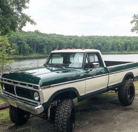 Old Lifted Ford Trucks, Old Pickup Trucks For Sale, Dodge Truck Aesthetic, Old Ford Trucks Vintage, 70s Truck, Truck Interior Design, Ford Truck Interior, 79 Ford Truck, 1979 Ford Truck