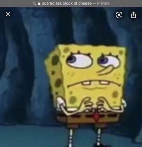 Scared Meme, Block Of Cheese, Spongebob Memes, Funny Profile, Funny Profile Pictures, Funny Reaction Pictures, Really Funny Pictures, Lose My Mind, What’s Going On