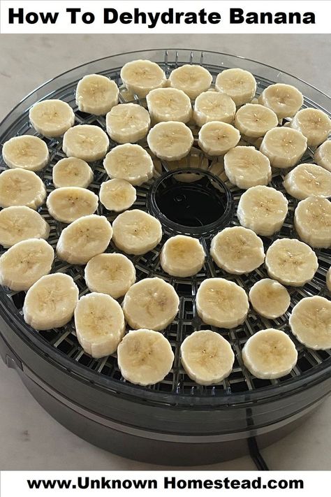 When the kids are not around, the shelf life of fresh bananas seems to shorten very quickly. One of my favorite ways to make them last longer is to dehydrate the bananas for yummy snacks! Dehydrated bananas last a long time and are still super yummy and nutritious! Dried Bananas Dehydrator, Dyhrated Banana, How To Dehydrate Bananas In Dehydrator, Dehydrating Bananas In Dehydrator, Dehydrate Bananas In Dehydrator, Dehydrated Banana Chips In Air Fryer, Banana Dehydrator Recipes, Dehydrating Apples In Air Fryer, Banana Chips Dehydrator