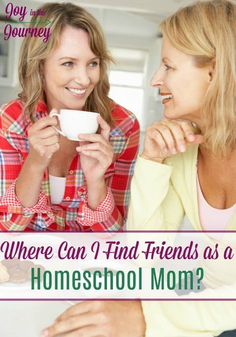 Where Can I Find Friends as a Homeschool Mom? - Joy in the Journey Spark People, Find Friends, Homeschool Mom, Fat Fast, Fun To Be One, Belly Fat, Life Changes, Health Tips, Health And Wellness