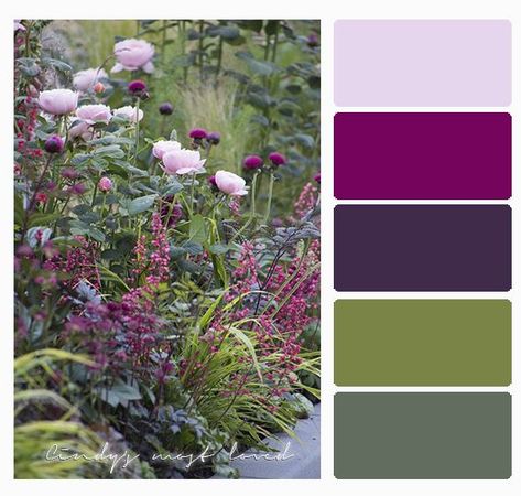 Color Palette flowers Color Palette Flowers, Garden Color Palette, Palette Garden, Purple Flowers Garden, Secret Garden Colouring, Best Perennials, Purple Garden, Garden Design Plans, Magical Garden