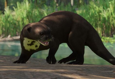 Giant Otter | Planet Zoo Wiki | Fandom Pokemon Song, Giant Otter, Giant River Otter, Otter Animal, Family Organization, Animal Categories, African Wild Dog, River Otter, Tropical Animals