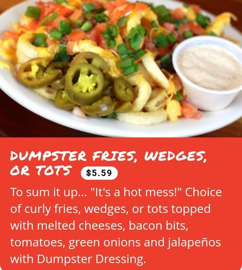 Dumpster Fries, Fries Recipes, Homemade Cookbook, Snack Board, Fries Recipe, Bacon Bits, Veggie Dishes, Melted Cheese, Healthy Options