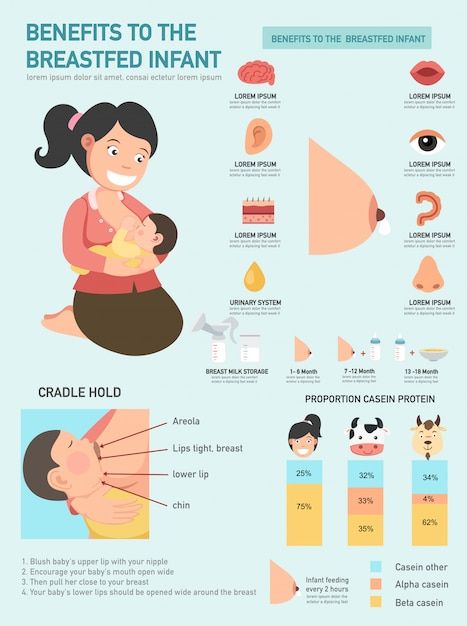 Breastfeeding Poster, Informative Poster, Breastfeeding Art, Unhealthy Diet, Breast Health, Baby Milk, Anatomy And Physiology, Natural Home Remedies, Breast Milk